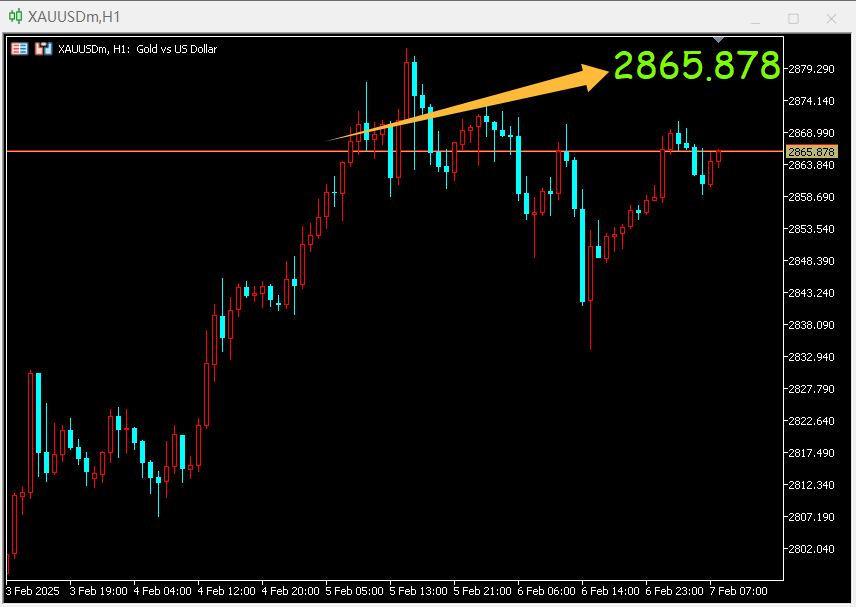 电脑版MT4,MT5 K线价格放大显示指标